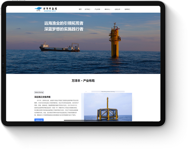 山東網(wǎng)絡公司