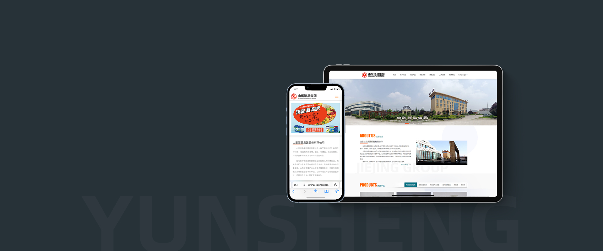 山東網(wǎng)絡公司